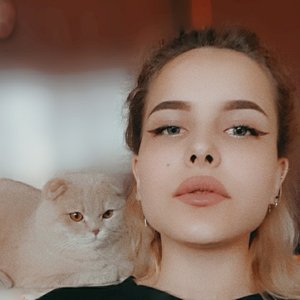 Суд отправил под домашний арест экс-главу подмосковного Чехова Новости общества