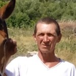Алексей пищугин личная жизнь биография Алексей Пищугин, 49 из Светлый - все фото в альбоме 1789136143 - сайт знакомств 