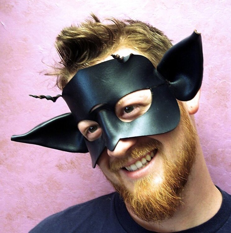 Смешные маски на 1 апреля. Кожаная маска. Маска на новый год мужская. Смешные маскарадные маски.