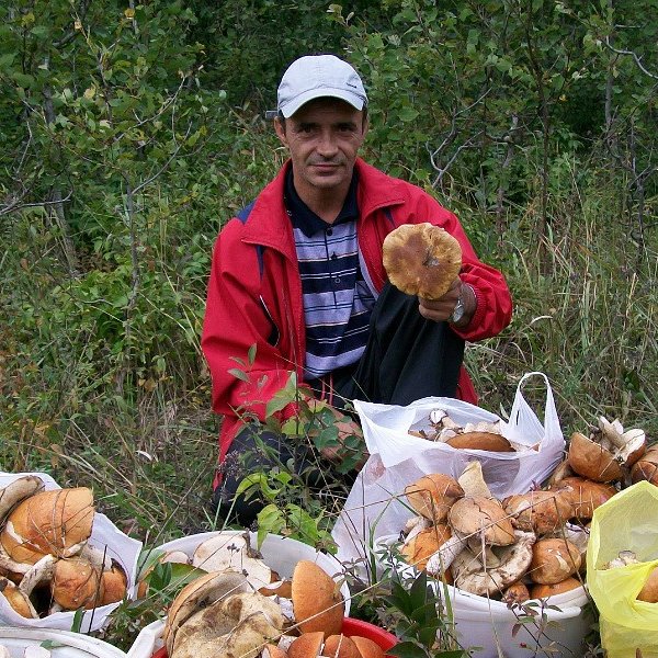 Владлен горелик фото